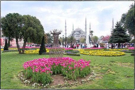 Blue Mosque Tulips The Sultan Ahmed Mosque (Turkish: Sultan Ahmet Camii) is a historic mosque in Istanbul. The mosque is popularly known as the Blue Mosque for the blue tiles...