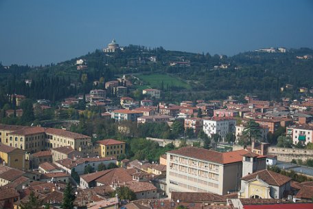Verona 14