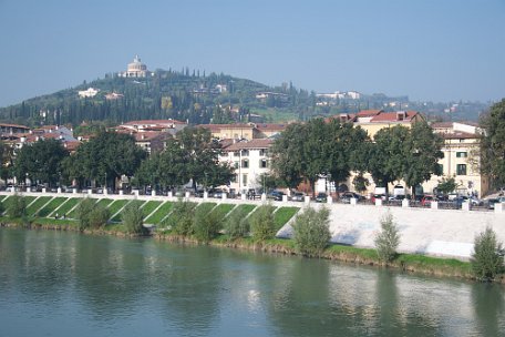 Verona 49