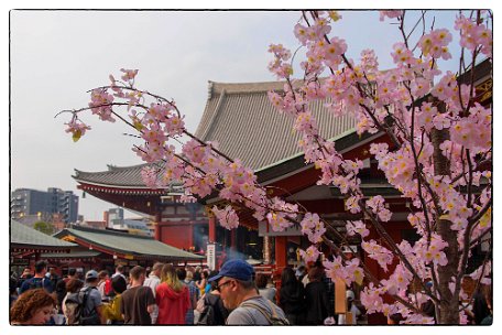 tokyo-sensoji-temple-0020jpg_41340933691_o